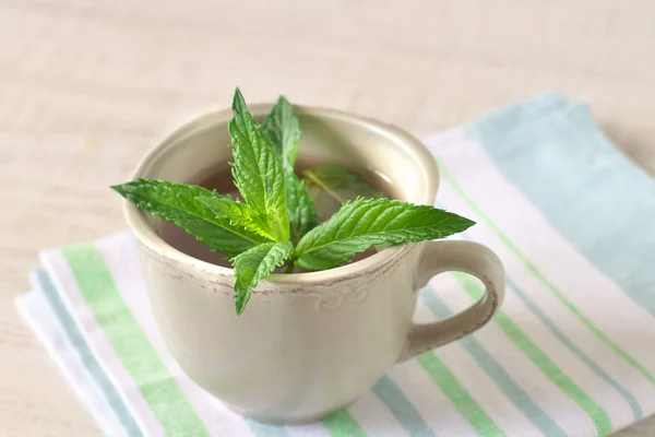 Summer mint tea — Stock Photo, Image