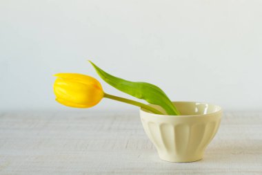 Kırsal bir masada seramik kasede sarı tek bir lale.