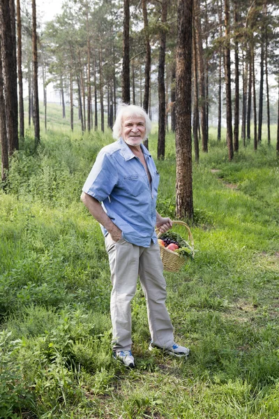 Camminare nella foresta dell'uomo anziano — Foto Stock