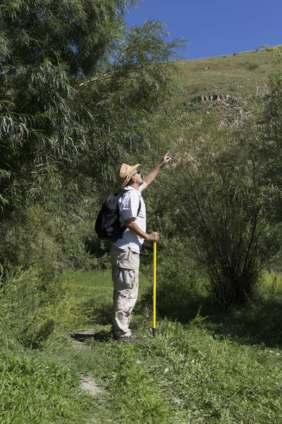 Joven caminante masculino adulto en terreno montañoso — Foto de Stock