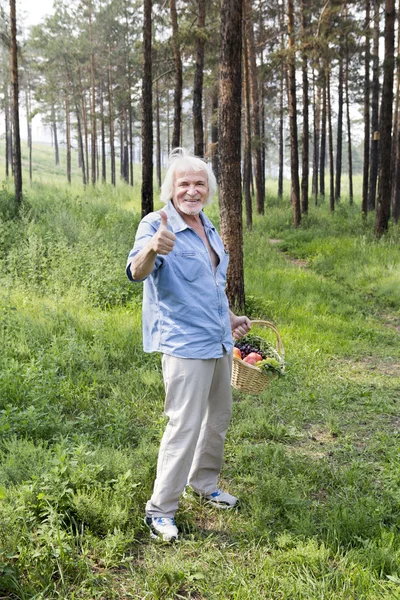 Walking in the forest of elderly man — Stock Photo, Image