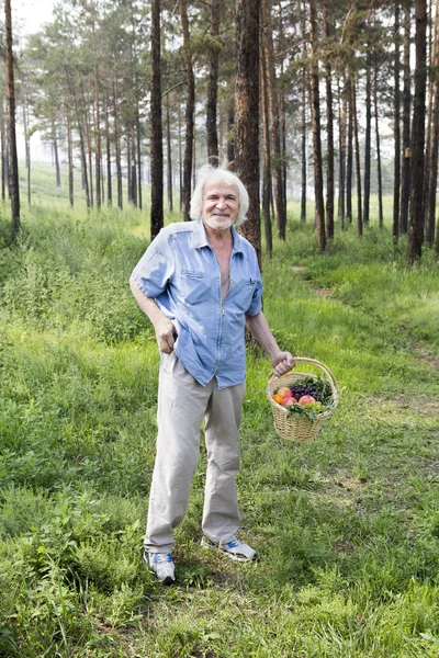 Walking in the forest of elderly man — Stock Photo, Image