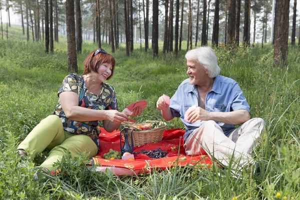 老人的丈夫和妻子在树林里野餐了 — 图库照片