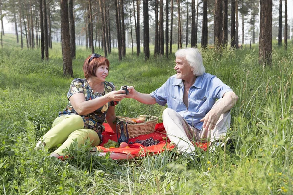 爷爷和奶奶做木材的野餐. — 图库照片