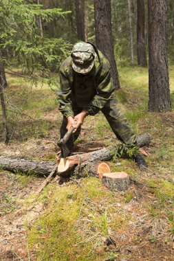 Orman, orman müfettişleri eser.