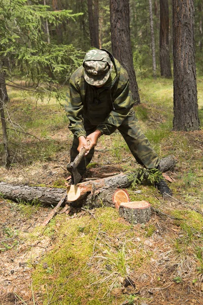 Лісові інспектори працюють у лісі . — стокове фото