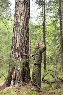 Bir ağaç çap ölçme