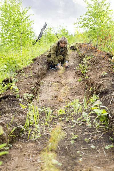 Forester bir ağaç yetişir. Çiftçiler ağaç dikme.