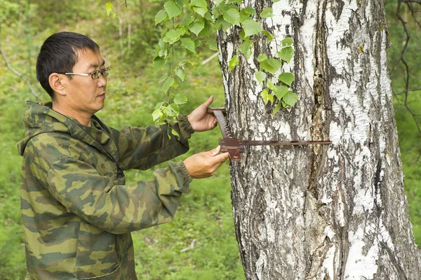Measuring the diameter of a tree — Stock Photo, Image