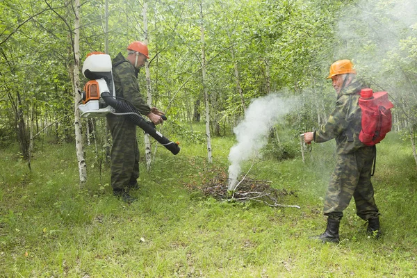 Brandbekämpning i skogen — Stockfoto