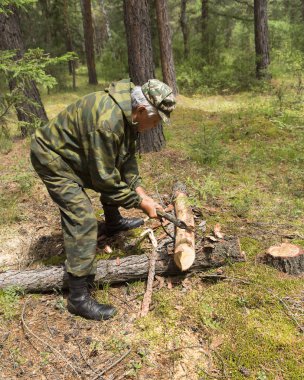 Orman Müfettiş Ormancılar, siteyi sıhhi ormanında felling için işaretleme bir grup ile. Üretim sıhhi Sibirya Tayga ahşap bir balta tarafından felling. doğrultusunda dizin. B orman carpenter'ın balta Müfettiş kaldırır