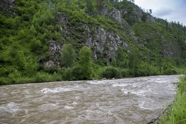 Hegyi folyó Szibériában — Stock Fotó