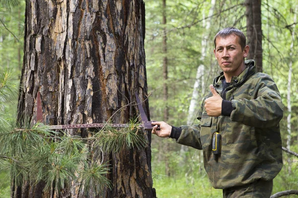 Bir ağaç çap ölçme