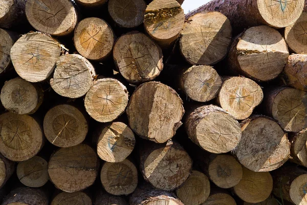 Wood of round logs stacked.