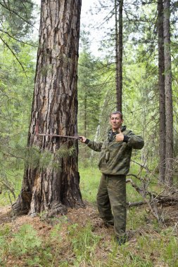 Ağaç ağaç gövdesi ile bir gövde kalınlığı ölçme aygıtı ile çap ölçümü