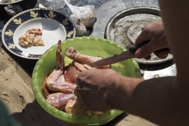 Yaşam yangın. Söz konusu yemek. Baykal Gölü üzerinde vahşi turizm.