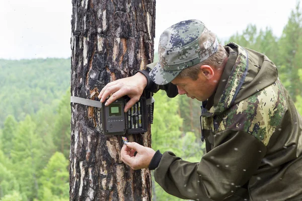 Camera traps with infrared light and a motion detector attached by straps on a tree photograph animals in the Siberian taiga