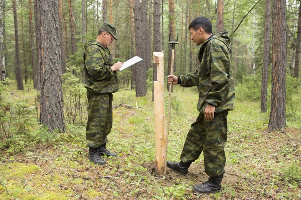 Forest inspectors work in the forest.