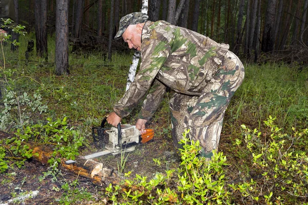 Forest inspectors work in the forest. — Stock Photo, Image