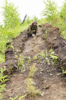 Forester bir ağaç yetişir. Çiftçiler ağaç dikme.