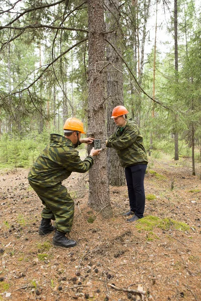 Camera trap on the tree