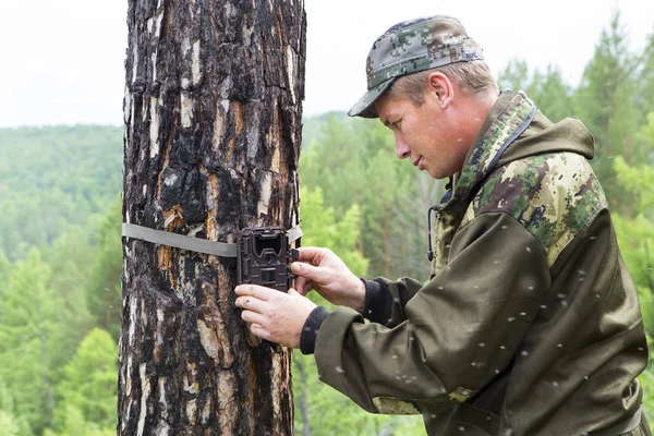 Camera trap on the tree