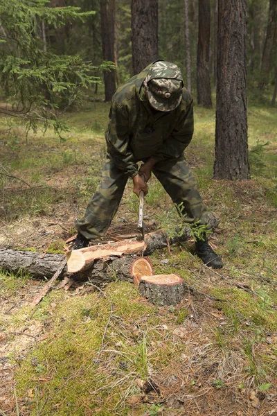 Forest Inspektör Med Grupp Skogsbrukare Markera Platsen För Sanitära Avverkning — Stockfoto