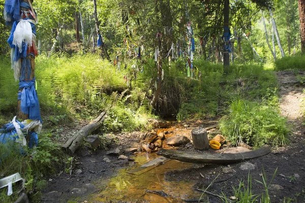 A holy spring of water with medicinal properties