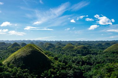 Güneşli bir günde Bohol 'daki çikolata tepelerinin ve yemyeşil yemyeşil ormanların güzel manzarası. Bu pitoresk manzara Filipinler 'in ünlü bir turistik yeridir..