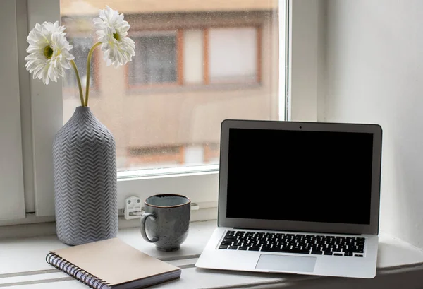 Bright Modern Workplace Window Flowers Laptop Notebook Coffee Cup — Stock Photo, Image