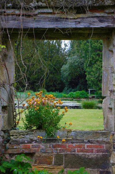 Fenêtre avec fleur dans un jardin anglais . — Photo