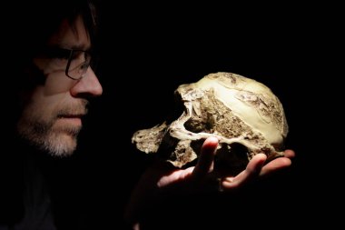 Elinde insan atasının kafatasıyla bir öğretmen. Australopithecus africanus modeli.
