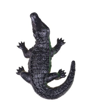 izole oyuncak kaplumbağa