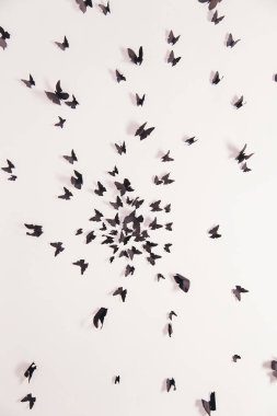 Beyaz arka planda siyah kelebek.  