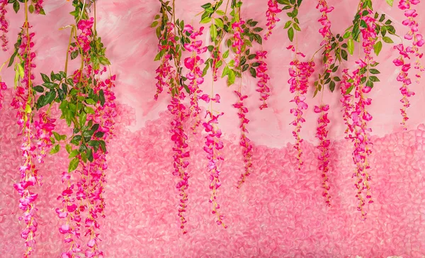 Pink flowers in studio — Stock Photo, Image