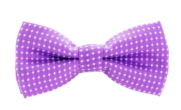 Фиолетовый с белой горошек бабочка галстук — стоковое фото