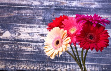gerbera (kırmızı, sarı, pembe, bej) buket retro w üzerinde