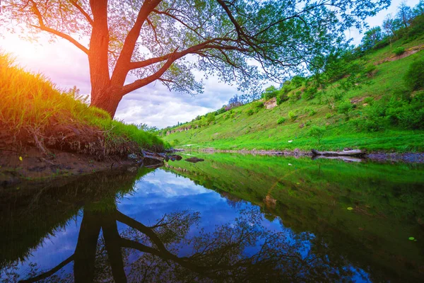 Landscape Rock Tree River Sunset Background — Stock Photo, Image