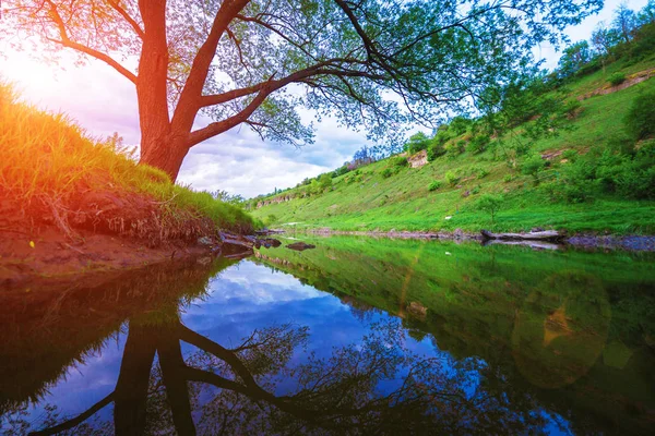 Landscape Rock Tree River Sunset Background — Stock Photo, Image