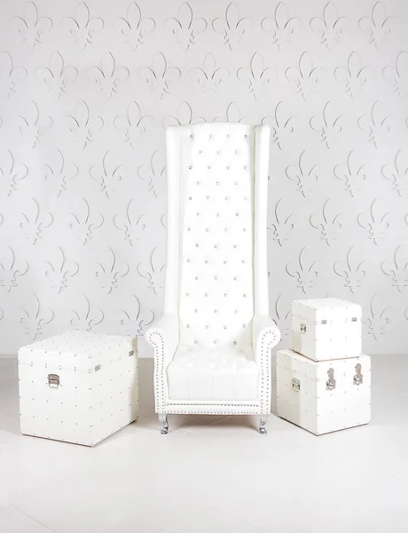Большой кожаный белый стул по бокам чемоданов. fashi — стоковое фото