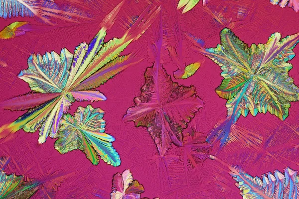 Kleurrijke micro kristallen in gepolariseerd licht — Stockfoto