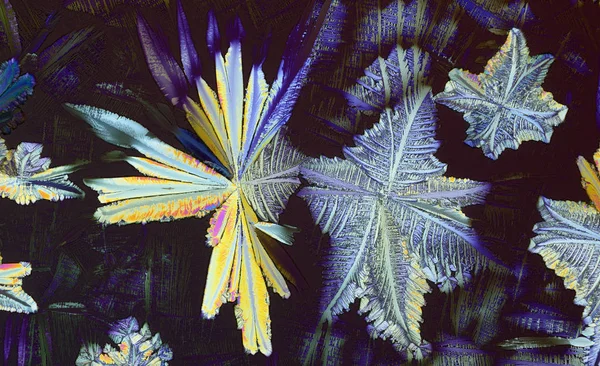 Färgglada micro kristaller i polariserat ljus — Stockfoto