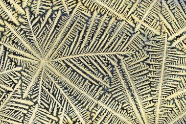 Mikro kristaller yansıyan ışık.