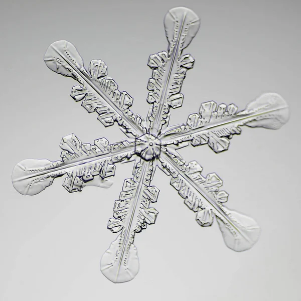 Extreme close-up voor natuurlijke snowflake — Stockfoto