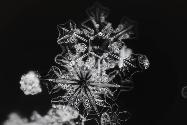 Екстремальне крупним планом природні сніжинки — стокове фото