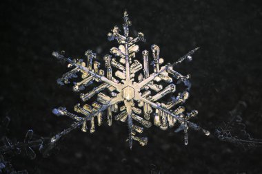 Aşırı closeup doğal kar tanesi