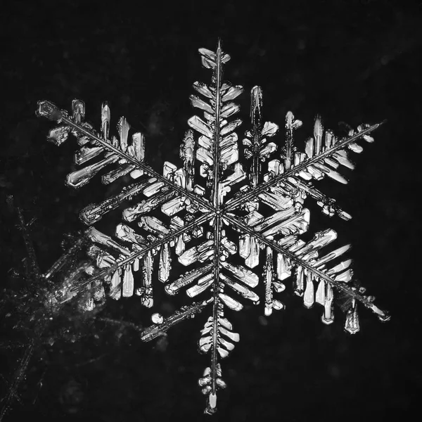 Aşırı closeup doğal kar tanesi