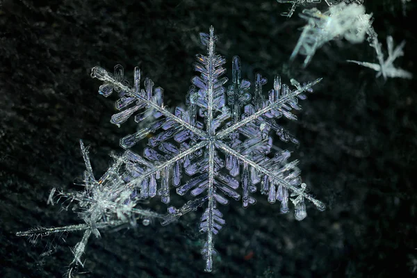 Экстремальный крупный план природных снежинок — стоковое фото
