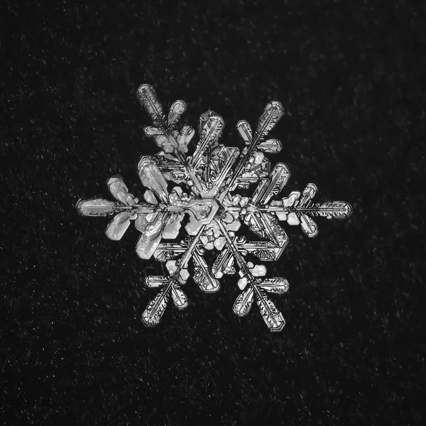 Extreme closeup of natural snowflake — Stock Photo, Image