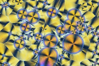 Polarize ışığın renkli mikro kristaller